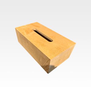 جای دستمال کاغذی سیناک AC104